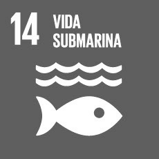 ODS 14 Vida Submarina