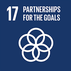 SDG 17 Revitalize the global partnership for sustainable development