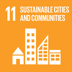 SDG 11 Make cities inclusive, safe, resilient and sustainable
