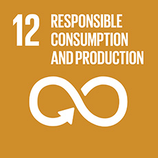 SDG 12 Ensure sustainable consumption and production patterns