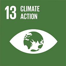 SDG 13 Take urgent action to combat climate change and its impacts