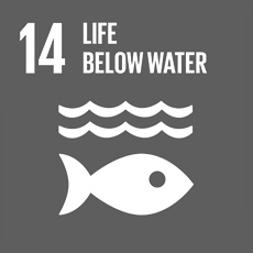 SDG 14 Conserve and sustainably use the oceans, seas and marine resources