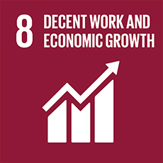 SDG 8 Promote inclusive and sustainable economic growth, employment and decent work for all
