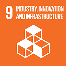SDG 9 Build resilient infrastructure, promote sustainable industrialization and foster innovation